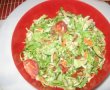 Salata mozaicata-4
