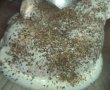 Pulpe de pui marinate in kefir-1