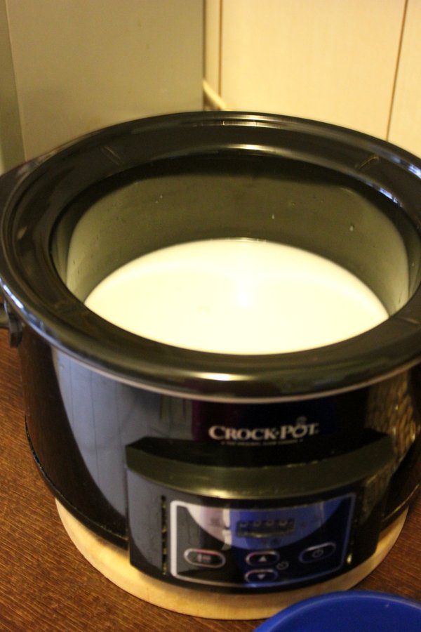 Orez cu lapte de cocos, capsuni si fistic la slow cooker Crock-Pot 4,7 L
