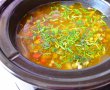Ciorba de legume la slow cooker Crock-Pot-7