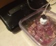Pulpa de miel marinata in otet taranesc de vin rosu, pregatita cu aparatul de marinat FoodSaver-3