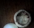 Ciuperci umplute-1