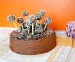 Tort Happy cake pops-15