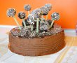 Tort Happy cake pops-16