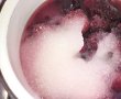 Prajitura cu jeleu de fructe si crema de vanilie-3
