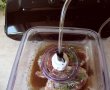 Tocanita de miel  pregatita cu aparatul de marinat FoodSaver-16