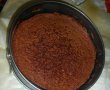 Tort Vis de ciocolata-4
