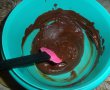 Tort Vis de ciocolata-7