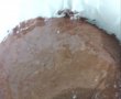 Tort cu crema de mascarpone, zmeura si ciocolata-10