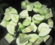 Ghiveci de legume la slow cooker Crock-Pot-2