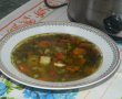 Ciorba de legume la slow cooker Crock-Pot-12
