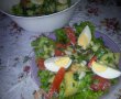 Salata orientala de vara-10