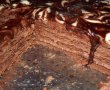 Tort de biscuiti cu mascarpone si ciocolata, fara coacere / CHOCOTORTA de Fetesti-12