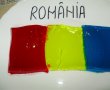 Steagul ROMANIEI din jeleu-5