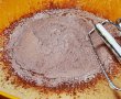 Prajitura cu cacao si branza-2
