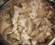 Mancare de ciuperci pleurotus cu praz-4