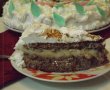 Tort Steliana-7