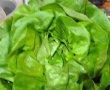 Supa de salata verde cu galuste de faina alba-2