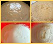 Desert tort Musuroi de cartita-1