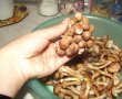 Salata de ghebe cu usturoi-1