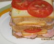 Sandwich turnulet-8