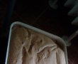 Desert prajitura cu pandispan si mere-2