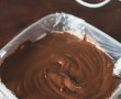 Desert inghetata de ciocolata-4