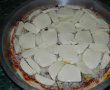 Pizza cu mozzarella-9