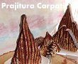 Desert prajitura Carpati-8
