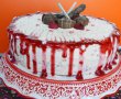 Desert tort cu crema de vanilie si zmeura-9