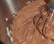 Desert tort amandina-7