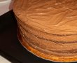 Desert tort amandina-9