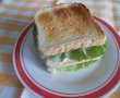 Cheese Club Sandwich-6