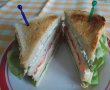 Cheese Club Sandwich-7