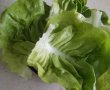 Salata Curcubeu-5