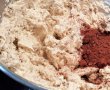 Desert prajitura cu nuci si cu ciocolata (Chinezoaica)-2
