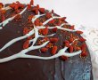 Desert tort de primavara cu ciocolata si fructe goji-3