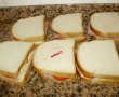 Sandwichuri gratinate-3
