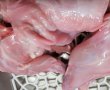 Coniglio al forno -iepure la cuptor-2