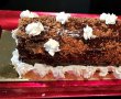 Desert tort Buturuga, cu ciocolata si biscuiti speculoos-13