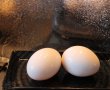 Omleta din oua de gasca-1