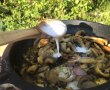Curry de ciuperci cu lapte de cocos-4