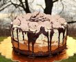 Desert tort cheesecake Tuxedo-26