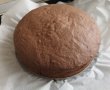Desert tort cu ciocolata si mascarpone-8