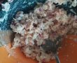 Sandvisuri cu ton si mozzarella-1