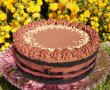Desert tort cu ciocolata si afine-21