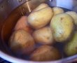 Cartofi in sos de rosii cu usturoi-0