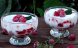 Panna cotta cu zmeura