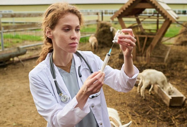 Antibioticele folosite în ferme pot ajunge să ne afecteze pe toți. Cum poate fi redus acest risc