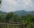 Tocan a la Gorj-1